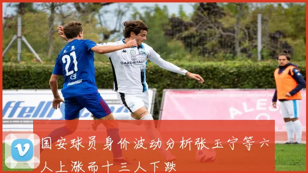 国安球员身价波动分析张玉宁等六人上涨而十三人下跌