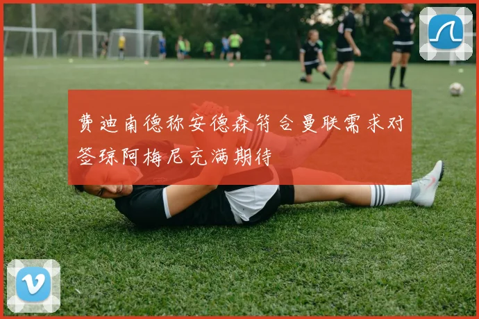 费迪南德称安德森符合曼联需求对签琼阿梅尼充满期待